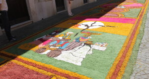 img_6059.jpeg