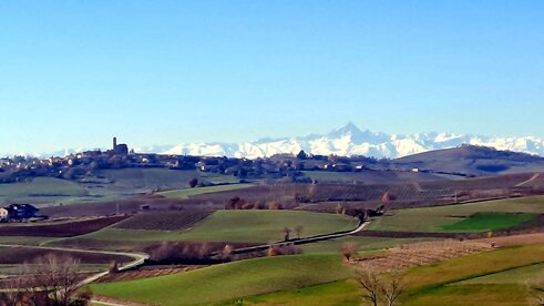 whatsapp image 2026-01-15 at 09.45.04.jpeg whatsapp image 2026-01-15 at 09.45.04.jpeg