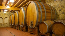 Le cantine dei produttori vinicoli