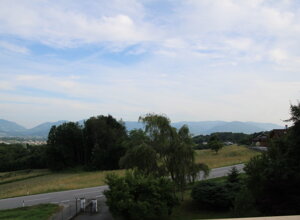 lago%20del%20mis.jpeg