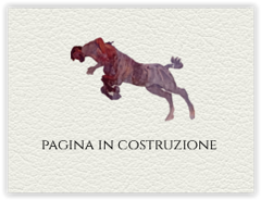 pagina in costruzione