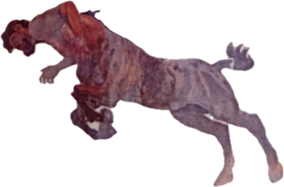 centauro rampante