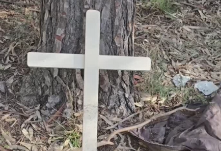 screenshot 2026-01-15 alle 10.24.51 screenshot 2026-01-15 alle 10.24.51