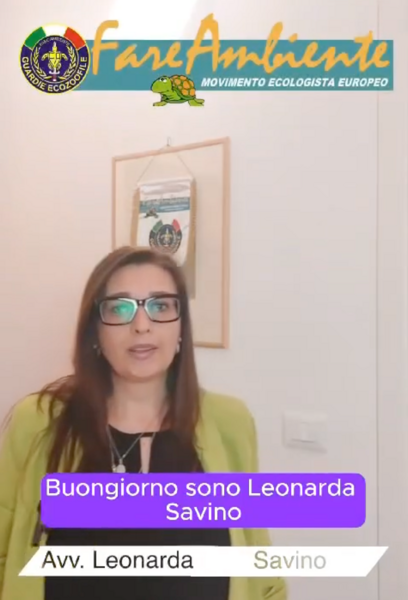 screenshot 2025-07-22 alle 11.36.34