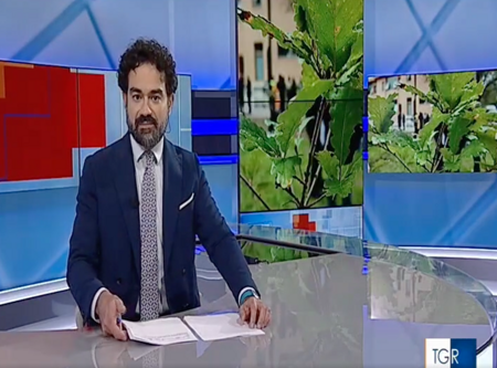 screenshot 2025-11-21 alle 15.30.14