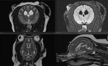 screen+shot+2022-07-30+at+3.39.12+pm