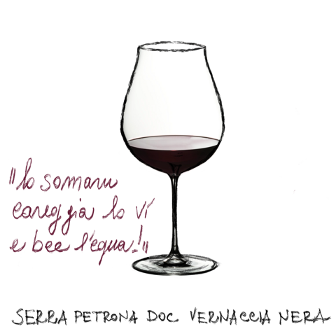 Calice di Vernaccia di Serrapetrona DOCG, vino rosso spumante tipico delle Marche Calice di Vernaccia di Serrapetrona DOCG, vino rosso spumante tipico delle Marche