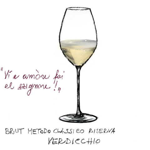 Calice di spumante di Verdicchio DOC, vino bianco frizzante delle Marche Calice di spumante di Verdicchio DOC, vino bianco frizzante delle Marche