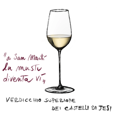 Calice di Verdicchio dei Castelli di Jesi, vino bianco DOCG delle Marche Calice di Verdicchio dei Castelli di Jesi, vino bianco DOCG delle Marche