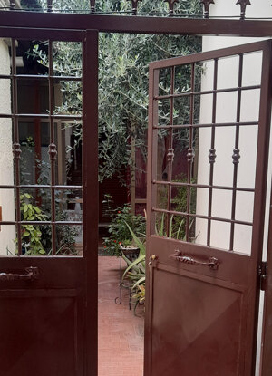 20210729_173301.jpeg 20210729_173301.jpeg