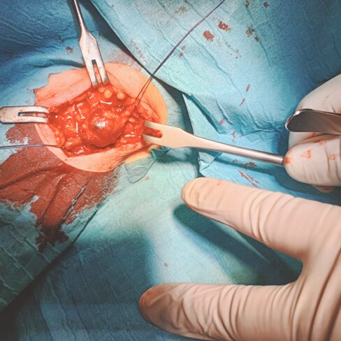 whatsapp image 2026-03-28 at 10.03.51.jpeg whatsapp image 2026-03-28 at 10.03.51.jpeg