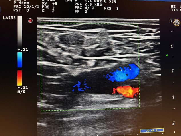 whatsapp image 2025-11-25 at 15.40.38.jpeg