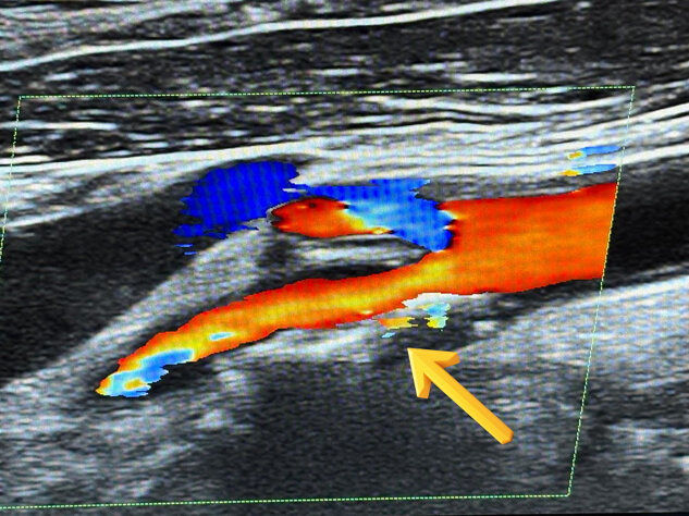 whatsapp image 2025-11-20 at 06.24.52.jpeg