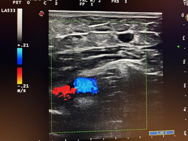 whatsapp image 2025-11-25 at 15.40.47.jpeg