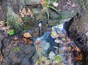 img-20210829-wa0016.jpeg