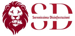 logo_sd.jpeg