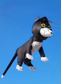 gatto.jpeg gatto.jpeg