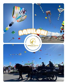 montalto marina 2026.jpeg