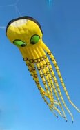 polpogiallo.jpeg