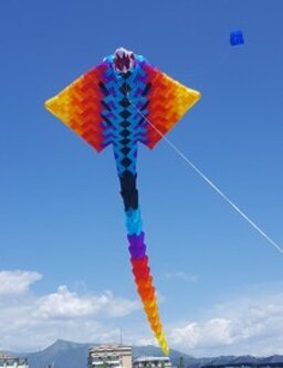 manta grande.jpeg