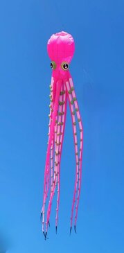piovra rosa.jpeg