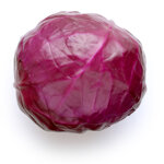 cavolo-cappuccio-rosso