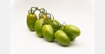 pomodoro-verde-in-offerta