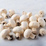 funghi-champignon