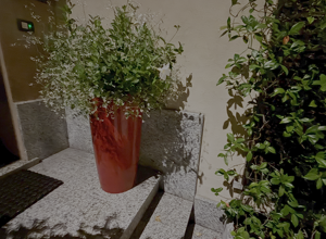 test-img_8197