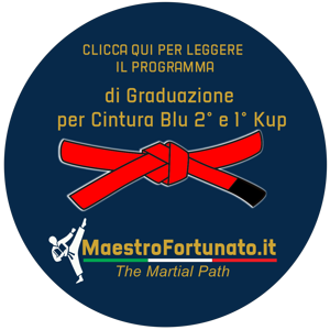 bottone_maestrofortunato.it_6 bottone_maestrofortunato.it_6