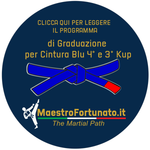 bottone_maestrofortunato.it_5 bottone_maestrofortunato.it_5