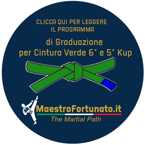 bottone_maestrofortunato.it_4 bottone_maestrofortunato.it_4