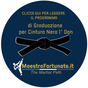 bottone_maestrofortunato.it_7 bottone_maestrofortunato.it_7