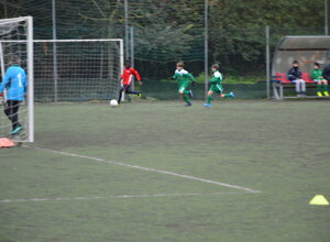 dsc_0920.jpeg