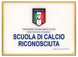 scuola calcio riconosciuta.jpeg