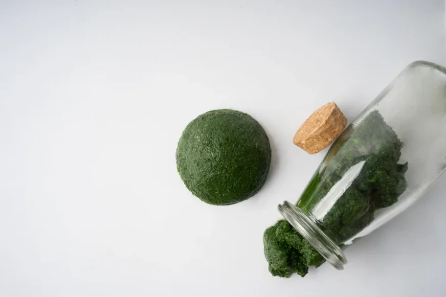 zenit-fresca04_750x zenit-fresca04_750x