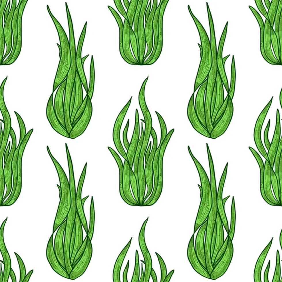 depositphotos_222886210-stock-illustration-spirulina-algae-background-wallpaper-seamless