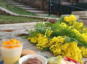 whatsapp%20image%202026-03-08%20at%2020.51.58%20(2).jpeg whatsapp%20image%202026-03-08%20at%2020.51.58%20(2).jpeg