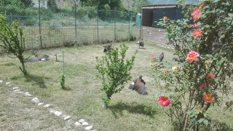99408507_2600691343523659_1535912246721380352_n.jpeg