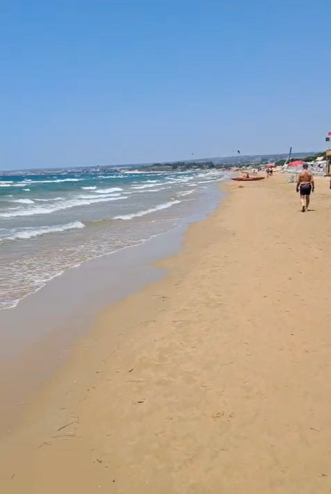 mare