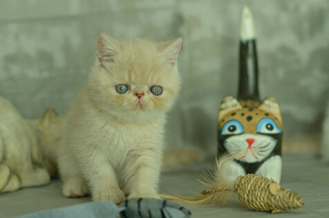 _dsc6920.jpeg