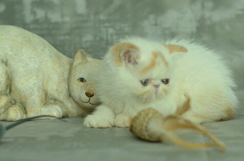 _dsc7183.jpeg