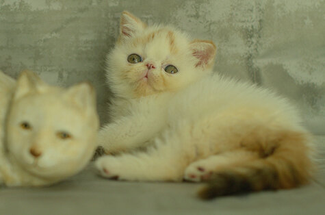_dsc7171.jpeg