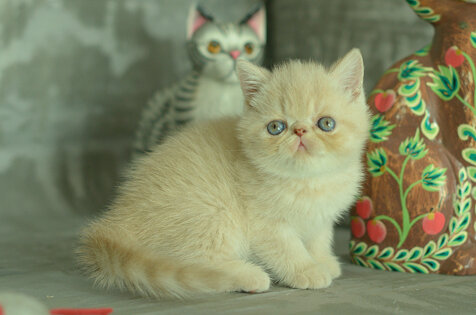 _dsc6859.jpeg
