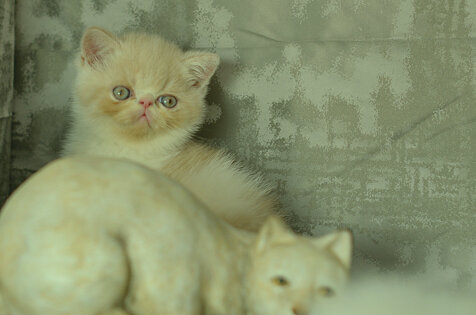 _dsc7096.jpeg