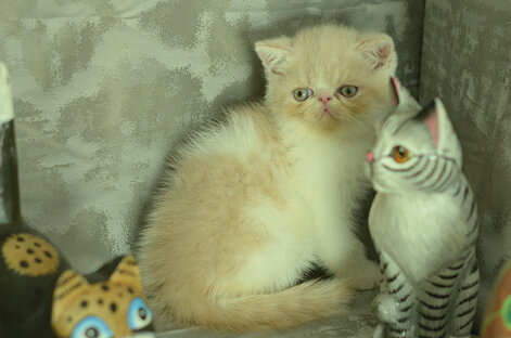 _dsc7132.jpeg