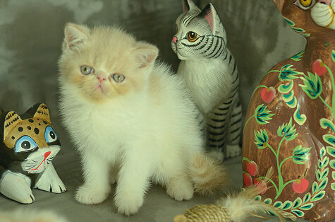 _dsc7121.jpeg