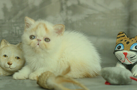 _dsc7175.jpeg