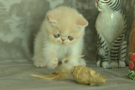 _dsc7000.jpeg