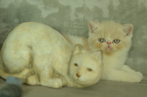 _dsc7162.jpeg